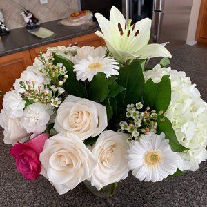 Meet your Posher, Sonson